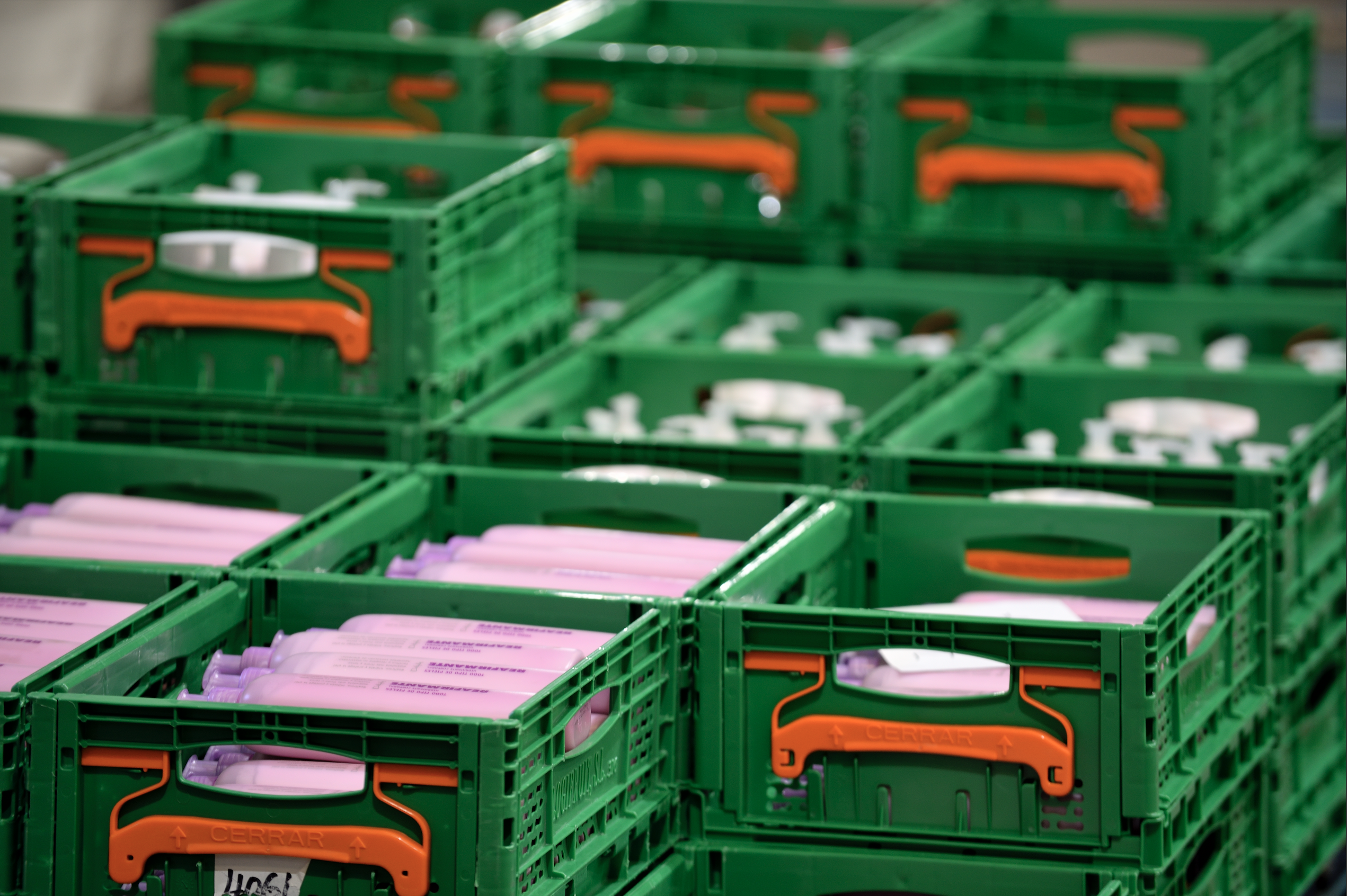 ILES-Spain-2-picking.png
